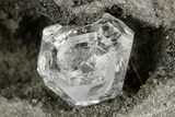 Herkimer Diamonds in Matrix - The Ace of Diamonds Mine, New York #324508-1